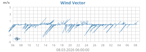 Wind Vector